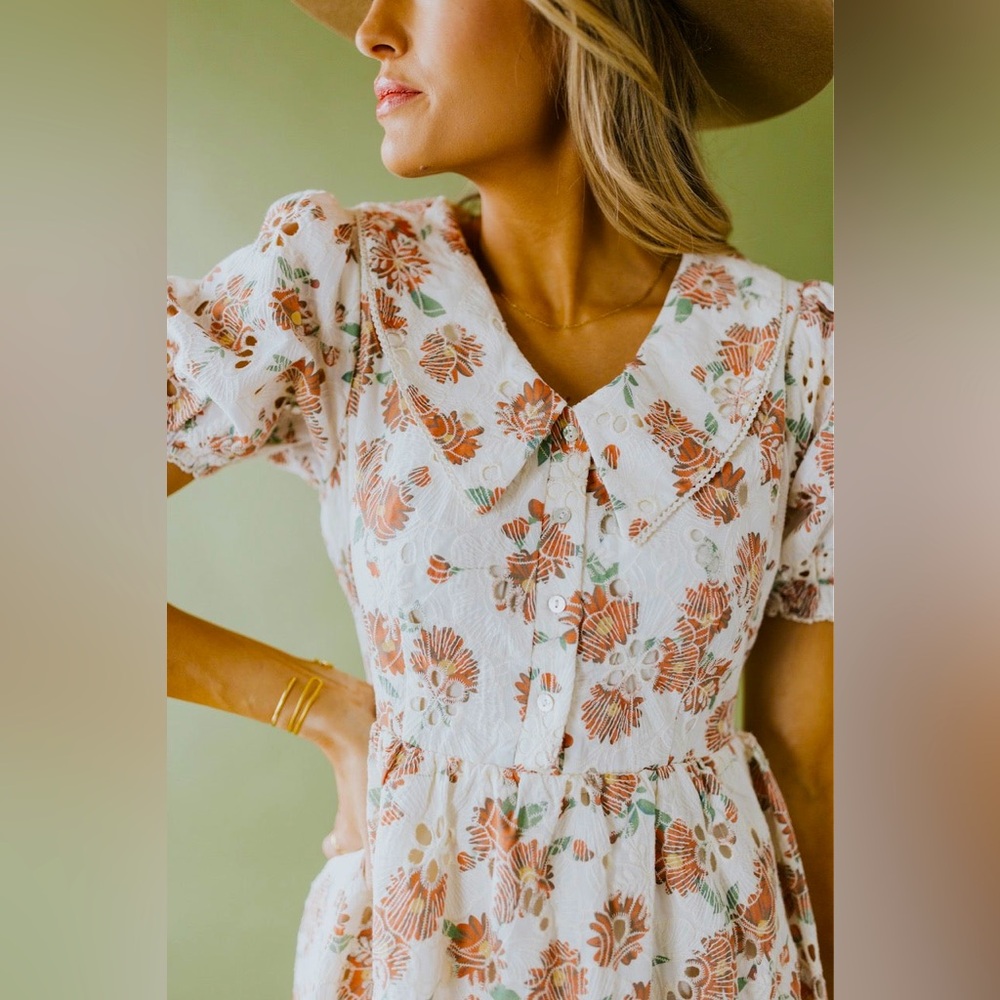 NWT Salt Larchmont Chelsea Collar Eyelet Dress S